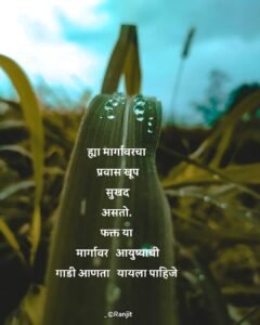 Top 100+ Marathi Quotes On Life 