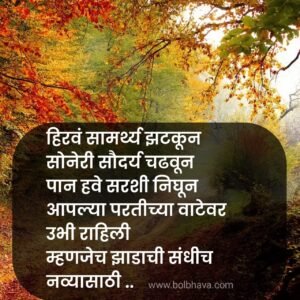 Top 100+ Marathi Quotes On Life 