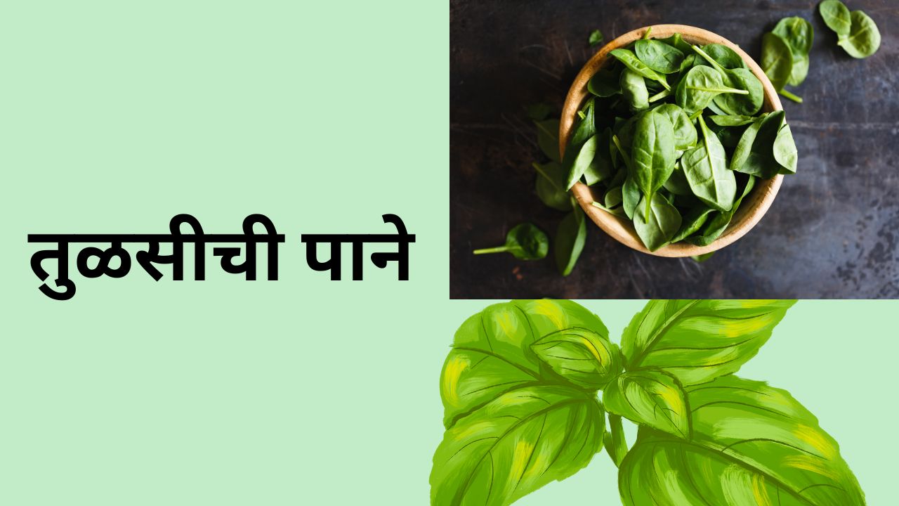home remedies on cough in marathi 